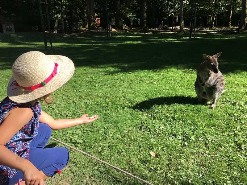 Week-end insolite à la vallée de Pratmeur en Bretagne